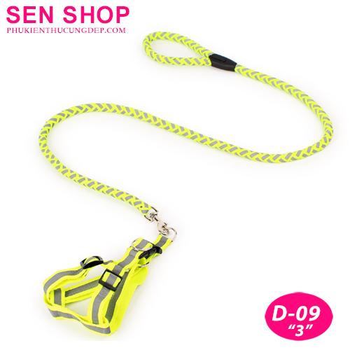 dây xích chó dạ quang