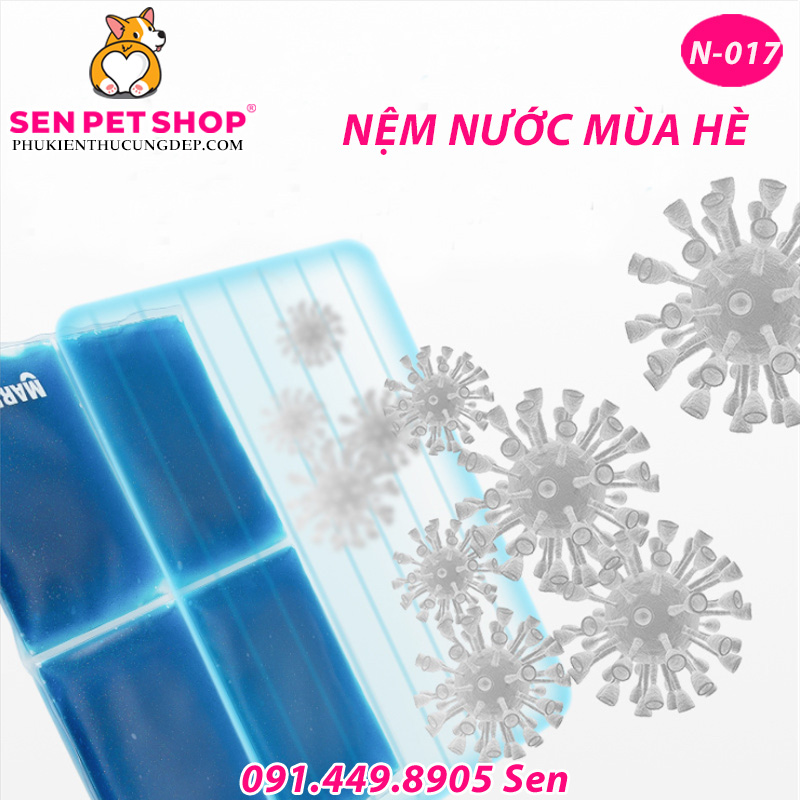 NỆM NƯỚC CHO CHÓ BLUE