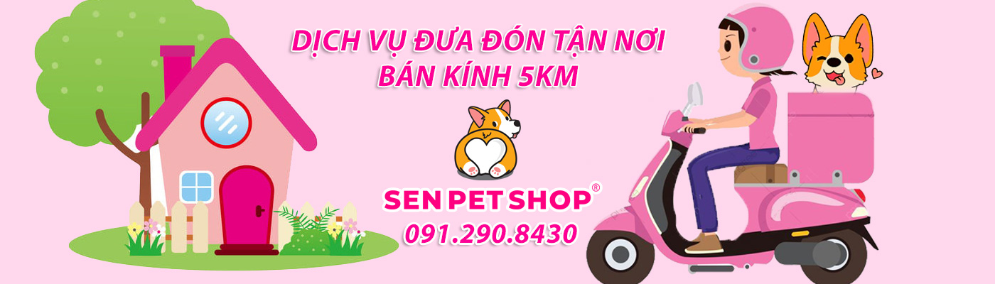 spa thú cưng sen pet shop