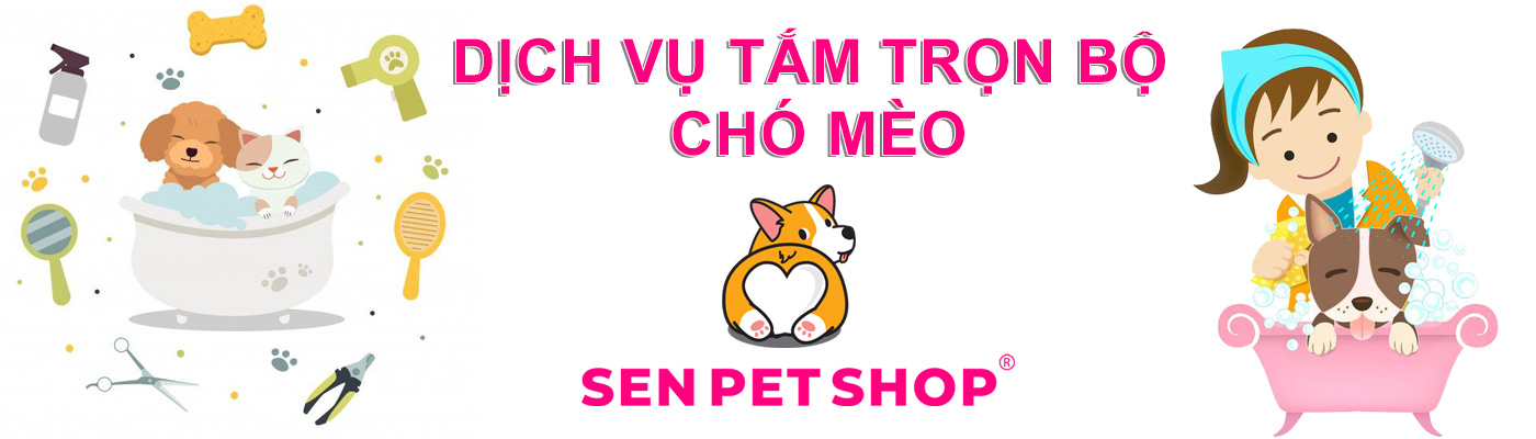 dịch vụ tắm vệ sinh chó mèo