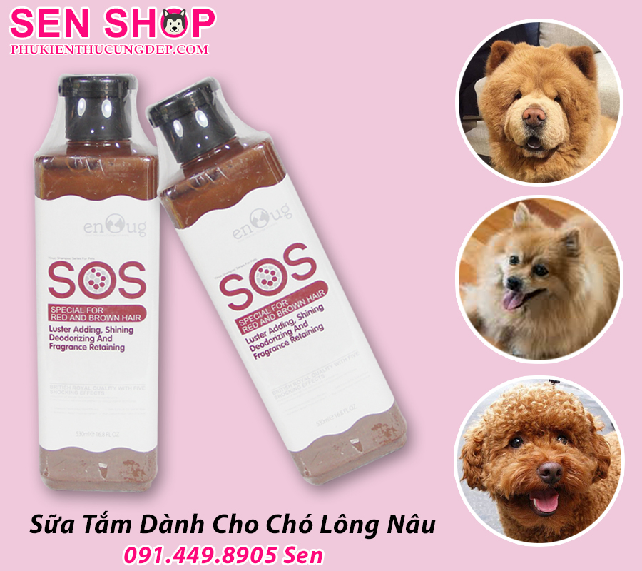 sữa tắm cho chó poodle