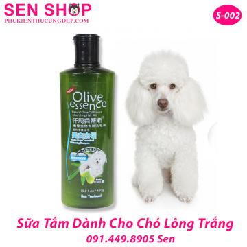 Sữa Tắm Chó Poodle Trắng