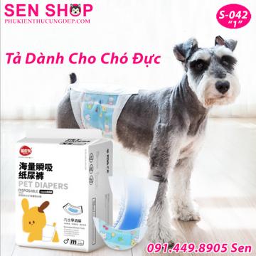 Tả Cho Chó Đực